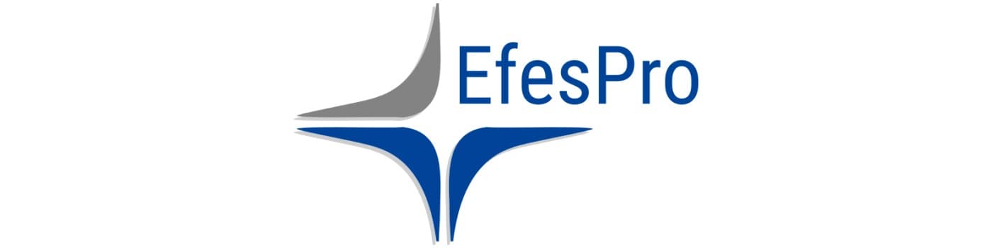 Efespro GmbH Logo